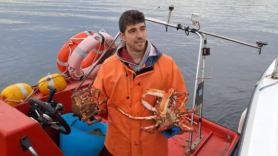 El marinero Martín Vidal de O Grove ha capturado en la ría de Arousa, la centolla más pesada esta campaña. El marinero Martín Vidal de O Grove ha capturado en la ría de Arousa, la centolla más pesada esta campaña.