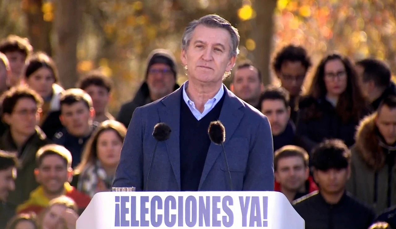 Feijóo en la manifestación de Madrid