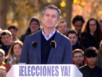 Feijóo en la manifestación de Madrid