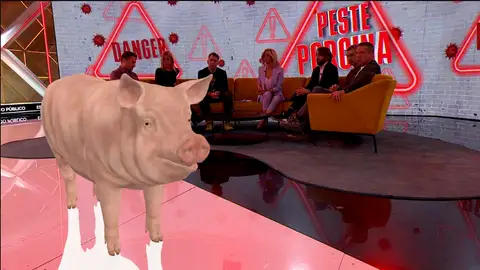 Peste porcina Peste porcina