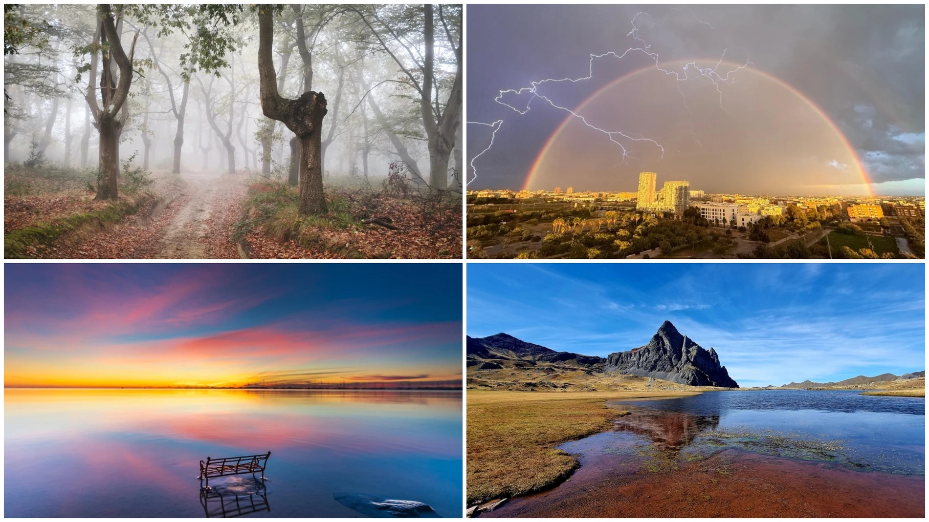 Vota la mejor foto de los espectadores del mes de noviembre Vota la mejor foto de los espectadores del mes de noviembre