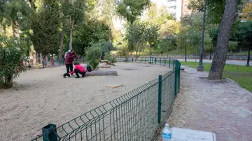 Imagen del parque de la Concordia, Jaén, donde aparecieron muertas dos menores Imagen del parque de la Concordia, Jaén, donde aparecieron muertas dos menores