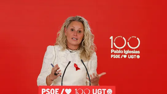 Montse Mínguez, portavoz del PSOE Montse Mínguez, portavoz del PSOE