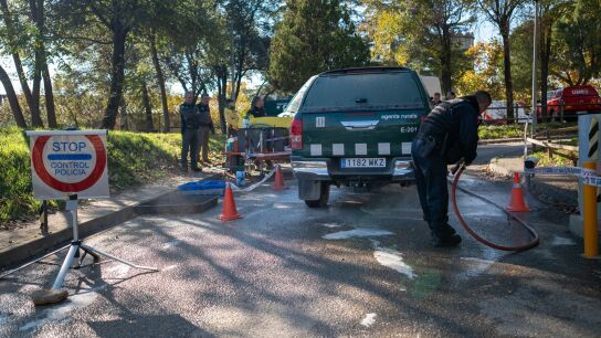 Despliegue de la UME ante el brote de peste porcina africana en Barcelona