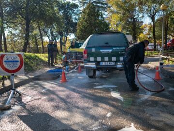 Despliegue de la UME ante el brote de peste porcina africana en Barcelona
