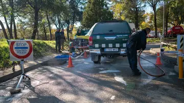 Despliegue de la UME ante el brote de peste porcina africana en Barcelona Despliegue de la UME ante el brote de peste porcina africana en Barcelona