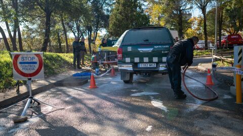 Despliegue de la UME ante el brote de peste porcina africana en Barcelona