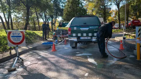 Despliegue de la UME ante el brote de peste porcina africana en Barcelona Despliegue de la UME ante el brote de peste porcina africana en Barcelona