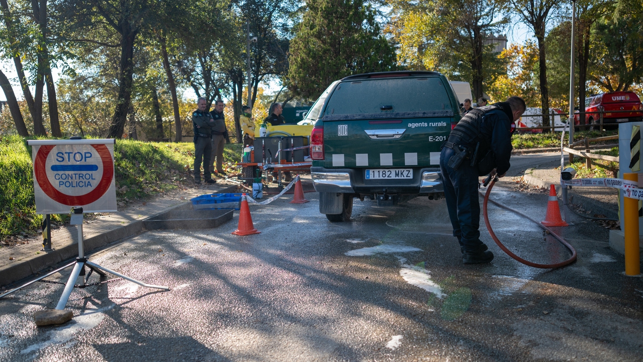 아프리카돼지열병 경고, 5일째에도 긴장감... 9명의 확진자와 50마리 멧돼지