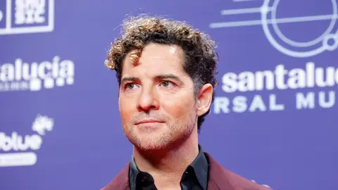 David Bisbal David Bisbal