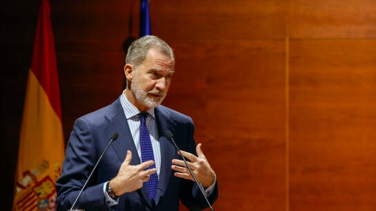 Imagen del Rey Felipe VI 