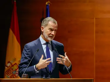 Imagen del Rey Felipe VI Imagen del Rey Felipe VI