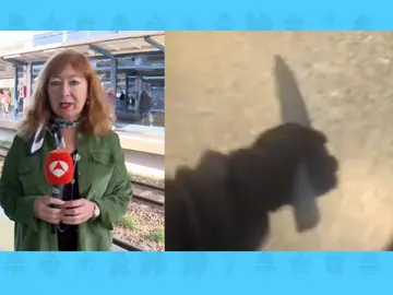 Detenido cuchillo metro Valencia Detenido cuchillo metro Valencia