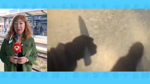 Detenido cuchillo metro Valencia Detenido cuchillo metro Valencia