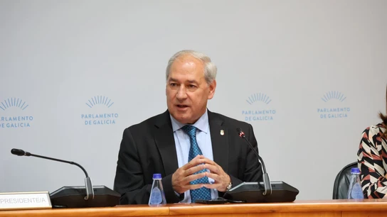 El presidente de la Diputación de Lugo, José Tomé EuropaPress_7067585_presidente_diputacion_lugo_jose_tome_parlamento
