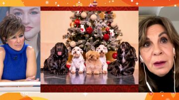 Manjavacas Manjavacas