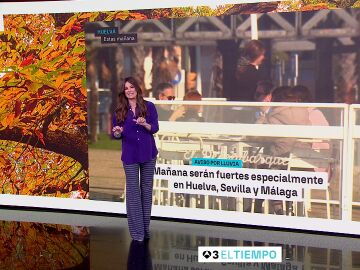 Mercedes Mart&iacute;n