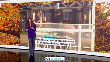 Mercedes Martín Mercedes Martín