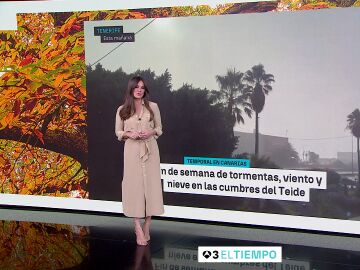 Mercedes Mart&iacute;n y la previsi&oacute;n del s&aacute;bado 13 de diciembre