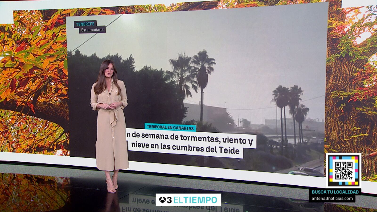 La borrasca Emilia marcará el fin de semana con lluvias, viento y nieve en Canarias, avisa Mercedes Martín