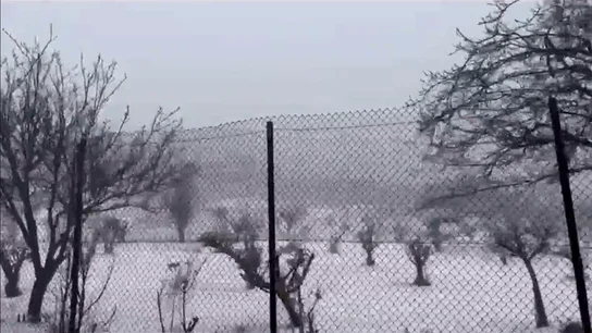 Nieve Nieve