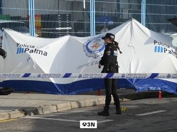 Muere una ni&ntilde;a de 7 a&ntilde;os y dos personas resultan heridas despu&eacute;s de que un coche los arrollara en Palma