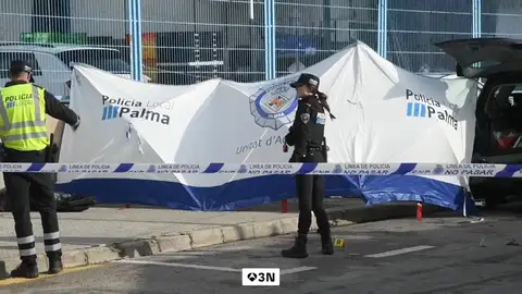 Muere una niña de 7 años y dos personas resultan heridas después de que un coche los arrollara en Palma Muere una niña de 7 años y dos personas resultan heridas después de que un coche los arrollara en Palma