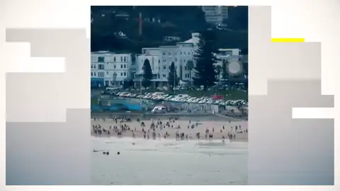Ataque terrorista contra la comunidad judía: al menos 11 muertos y varios heridos en un tiroteo en Bondi Beach, Sydney Ataque terrorista contra la comunidad judía: al menos 11 muertos y varios heridos en un tiroteo en Bondi Beach, Sydney