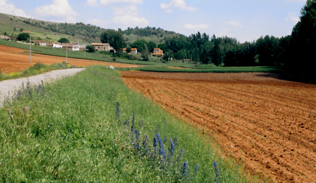 Imagen de archivo de Benamira, Soria.