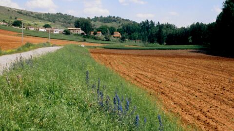 Imagen de archivo de Benamira, Soria.
