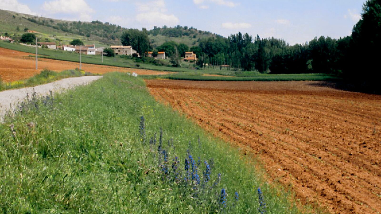El único habitante del pueblo: así es la vida de Fernando en un pequeño enclave de Soria