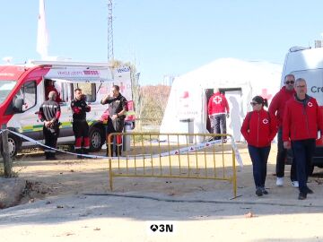 La Generalitat flexibilizar&aacute; el lunes las restricciones en el medio natural tras el brote de peste porcina africana