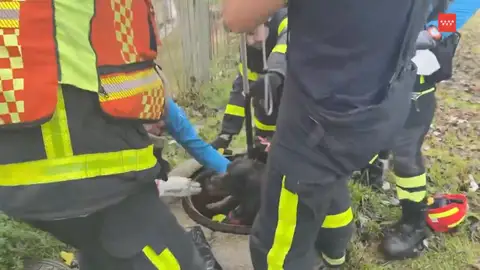 Rescatan a un perro en Majadahonda Antena3 Noticias