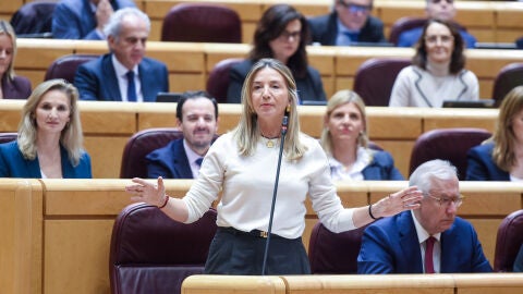 La portavoz del PP en el Senado, Alicia Garc&iacute;a, interviene durante una sesi&oacute;n de control al Gobierno