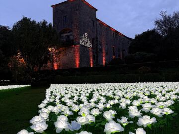 M&aacute;s de 1.200 personas en una tarde: el Jard&iacute;n Infinito convierte el Pazo compostelano de San Lorenzo en un espacio solidario estas Navidades