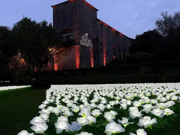 Más de 1.200 personas en una tarde: el Jardín Infinito convierte el Pazo compostelano de San Lorenzo en un espacio solidario estas Navidades Más de 1.200 personas en una tarde: el Jardín Infinito convierte el Pazo compostelano de San Lorenzo en un espacio solidario estas Navidades