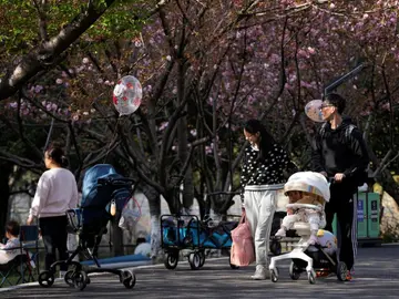 Una pareja pasea con un carrito por un parque en Pekín Una pareja pasea con un carrito por un parque en Pekín