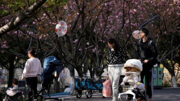 Una pareja pasea con un carrito por un parque en Pek&iacute;n