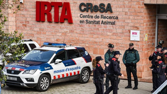 Guardia Civil y Mossos entran en el laboratorio del IRTA de Cerdanyola (Barcelona) por la peste porcina africana Agentes de la Guardia Civil y los Mossos d'Esquadra en el laboratorio del IRTA, a 18 de diciembre de 2025, en Cerdanyola, Barcelona, Catalunya (España). La Guardia Civil y los Mossos d'Esquadra han registrado el laboratorio del IRTA-CReSA de Cerdanyola del Vallès (Barcelona) en relación a la investigación sobre el origen de la peste porcina afircana (PPA). Esta diligencia está ordenada por el Juzgado de Instrucción número 2 de Cerdanyola del Vallès en el marco de las diligencias previas decla...