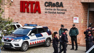 Guardia Civil y Mossos entran en el laboratorio del IRTA de Cerdanyola (Barcelona) por la peste porcina africana