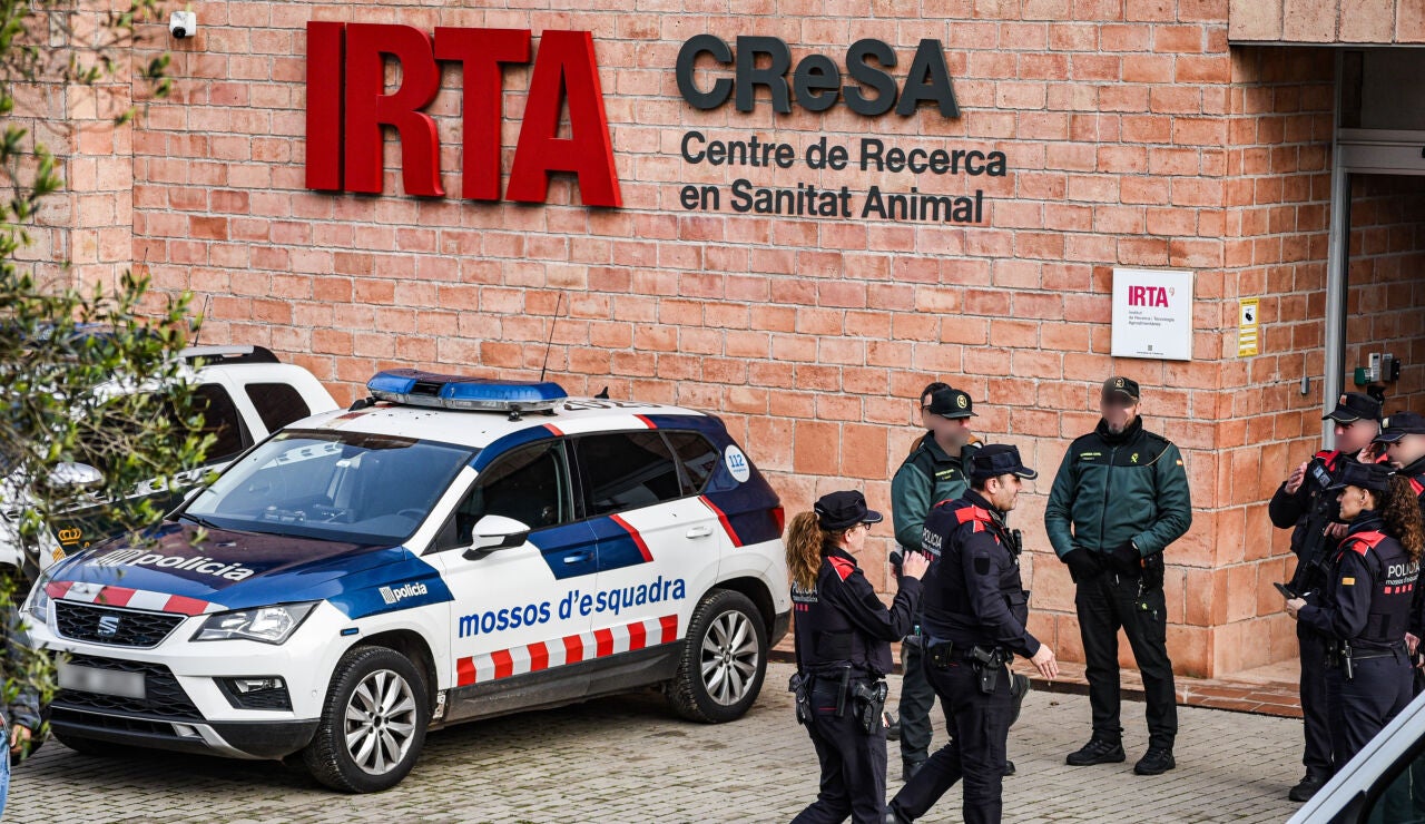 Guardia Civil y Mossos entran en el laboratorio del IRTA de Cerdanyola (Barcelona) por la peste porcina africana
