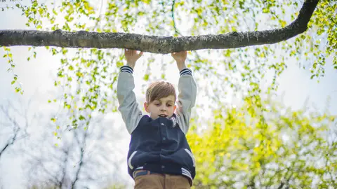 Un niño jugando en una rama Un niño jugando en una rama