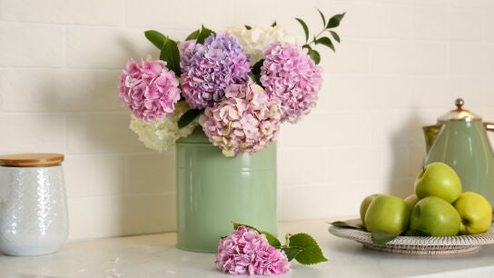Jarr&oacute;n con hortensias
