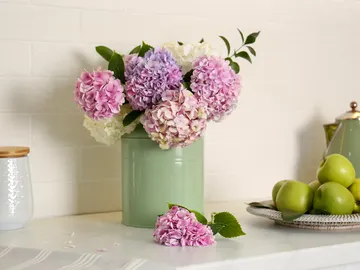 Jarrón con hortensias Jarrón con hortensias
