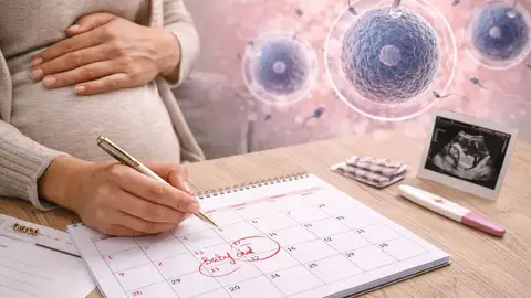 Imagen de una mujer embarazada planificando su maternidad Imagen de una mujer embarazada planificando su maternidad