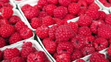 Frambuesas