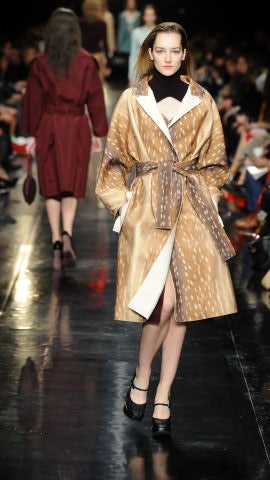 Estampado de cervatillo en pasarela