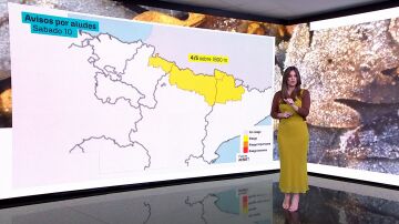 Imagen de Mercedes Mart&iacute;n.