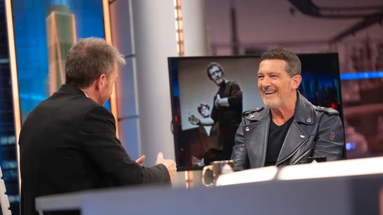 La bonita conexión de Antonio Banderas con su perro: "Me recibe como si hubiera ganado un Óscar" La bonita conexión de Antonio Banderas con su perro: "Me recibe como si hubiera ganado un Óscar"