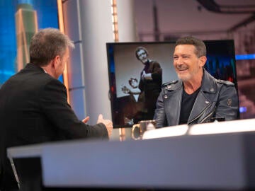  La bonita conexi&oacute;n de Antonio Banderas con su perro: "Me recibe como si hubiera ganado un &Oacute;scar"